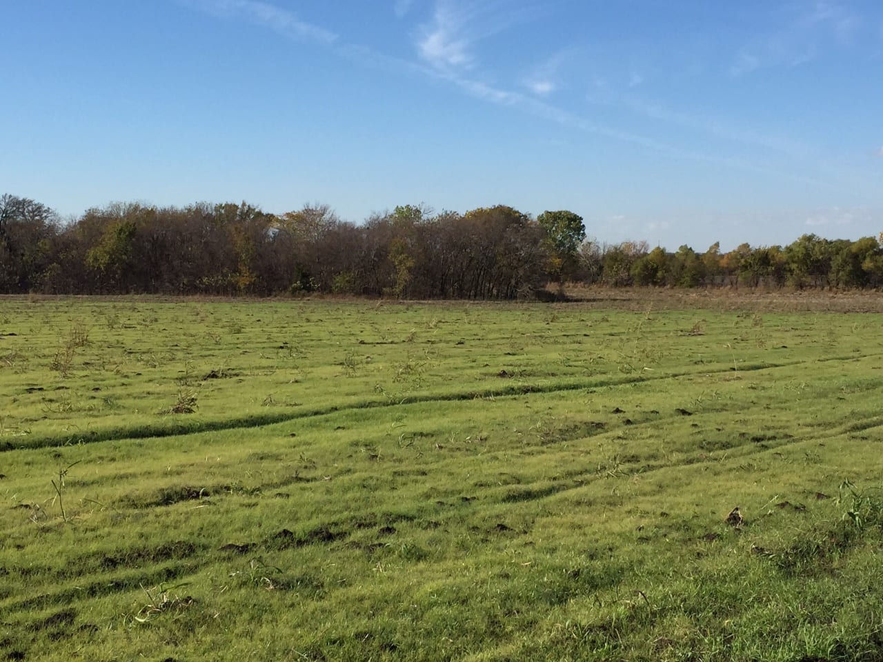 Tract 1069 Weston Land Company